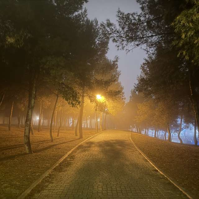 天气预报，带Knopfler83精美的照片