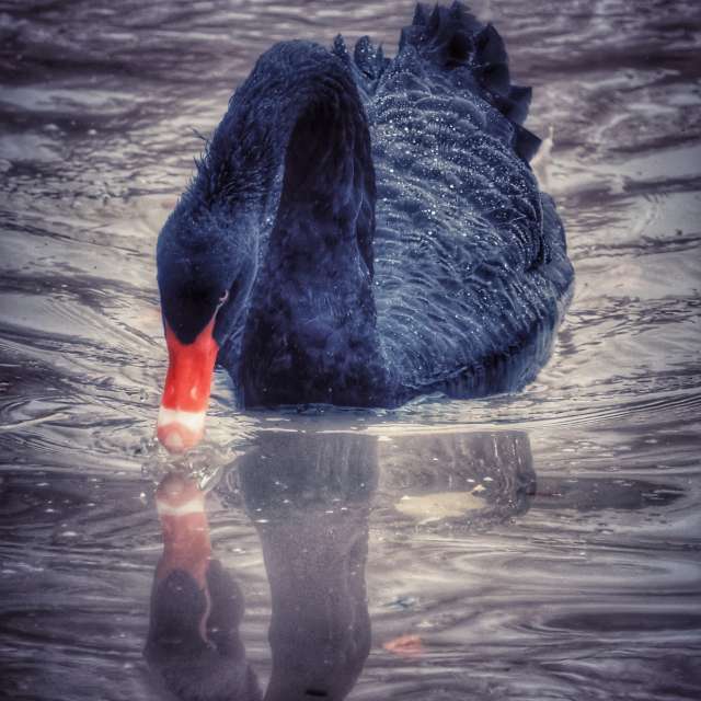 Lotti5507の美しい写真による天気予報