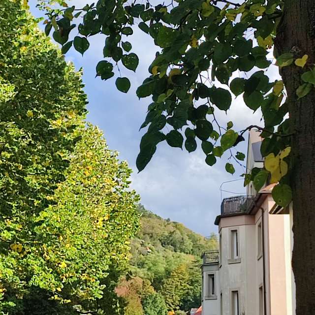 Sidewalk. Weather forecasts with beautiful photos by Tercis Photos in Ettlingen