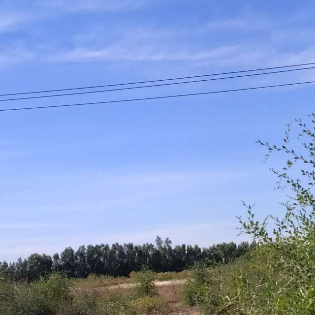 Прогнозы погоды с чудесными фотографиями, сделанными Mashaer