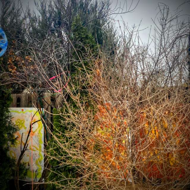 Pronósticos del tiempo con hermosas fotos de Lulu5523