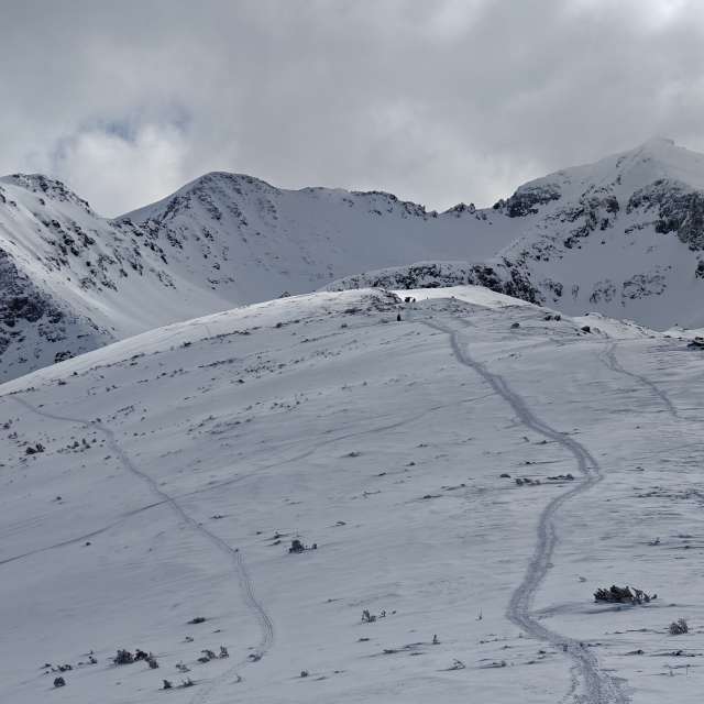 天气预报，带Rosiii精美的照片