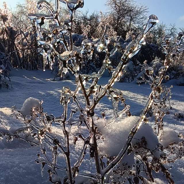 天气预报，带Michael_1969精美的照片