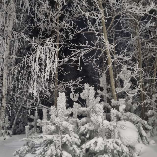 Pronósticos del tiempo con hermosas fotos de Fox_1900