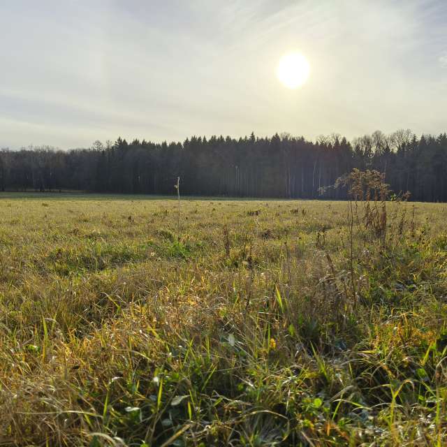 天气预报，带Aleksei精美的照片