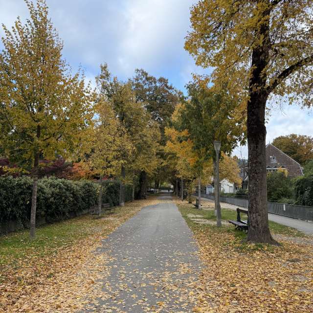 Photos Rue. Prévisions météo avec de superbes photos de SwissEloi de Bienne