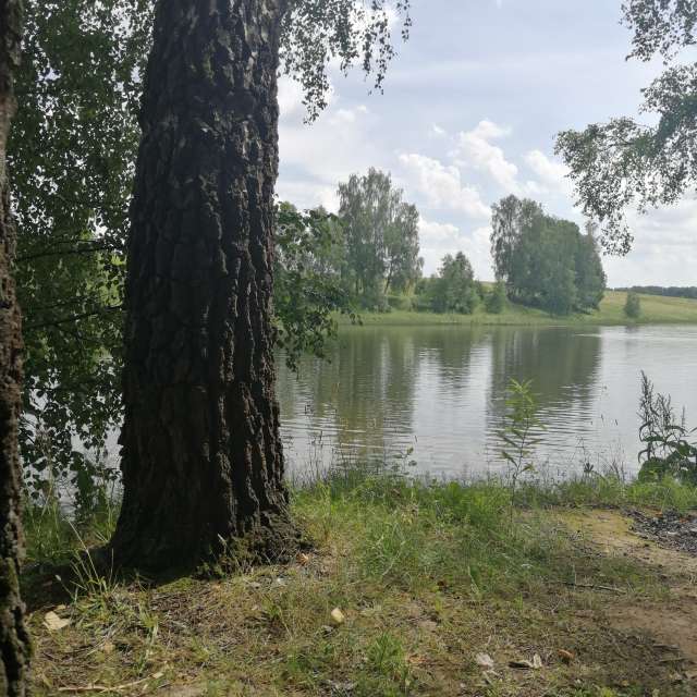 天气预报，带vilinsckayaolga精美的照片