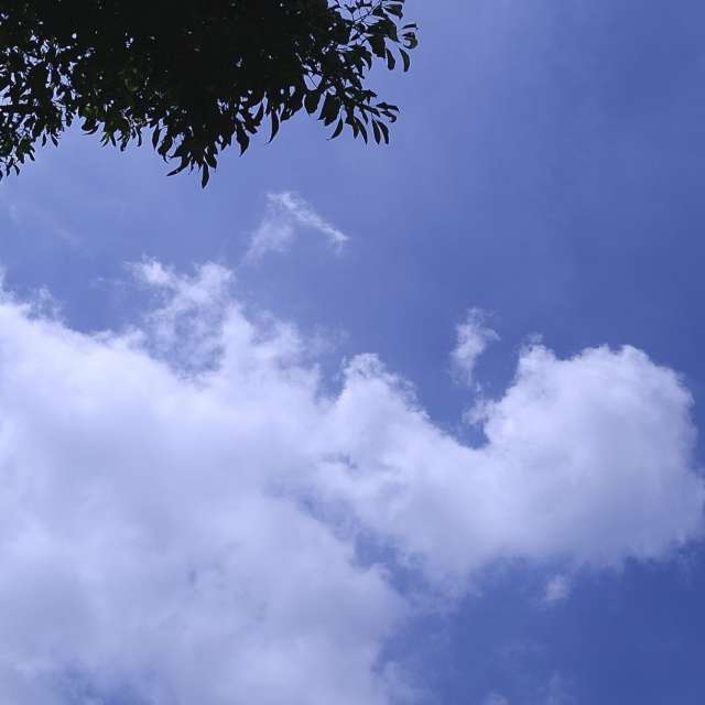 Side. Weather forecasts with beautiful photos by Wen-ya Huang Photos in Kaohsiung City