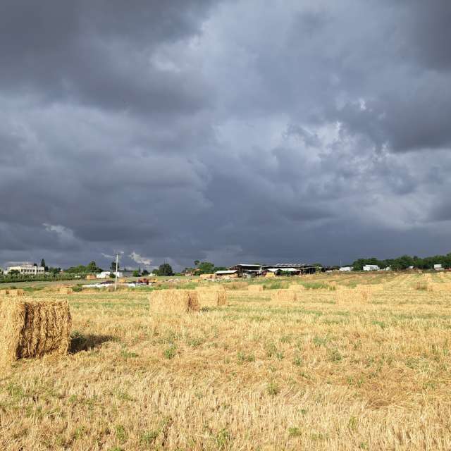 Photos météo à Monde. Prévisions météo avec de superbes photos de Sviatoslav