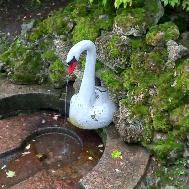 Pronósticos del tiempo con hermosas fotos de Prohojiy