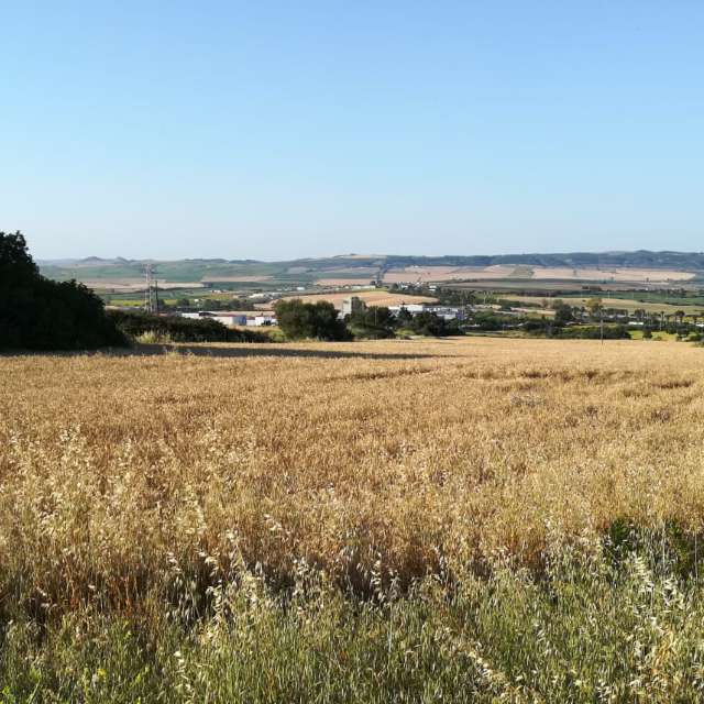 Large. Weather forecasts with beautiful photos by deliagt Photos in Arcos de la Frontera