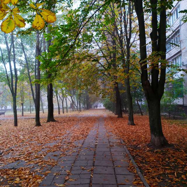 Fotos do tempo em Mundo. Previsões do tempo com lindas fotos de Elena Chayka