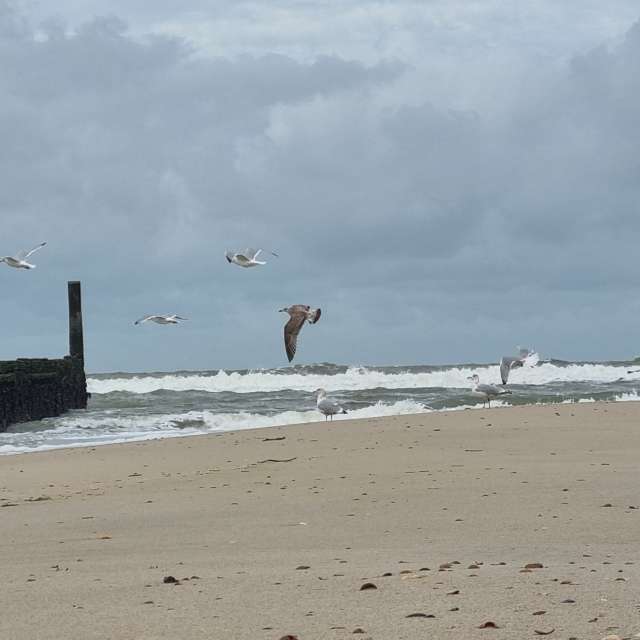 Weather forecasts with beautiful photos by DaB