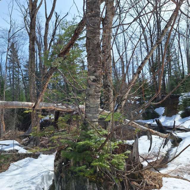 Weather forecasts with beautiful photos by NorthernMichiganBeauty