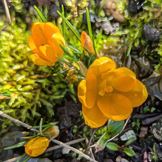 Прогнозы погоды с чудесными фотографиями, сделанными Sunshinelady62