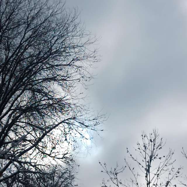 Fotos del Frente. Pronósticos del tiempo con hermosas fotos de YanBog en București