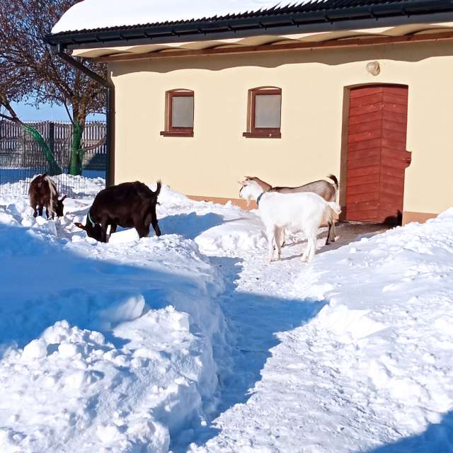 Fotos Clima. Previsões do tempo com lindas fotos de AnitaTrusińska em Charbinowice
