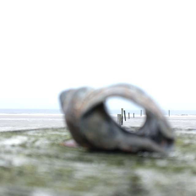 Pronósticos del tiempo con hermosas fotos de Richtoldi