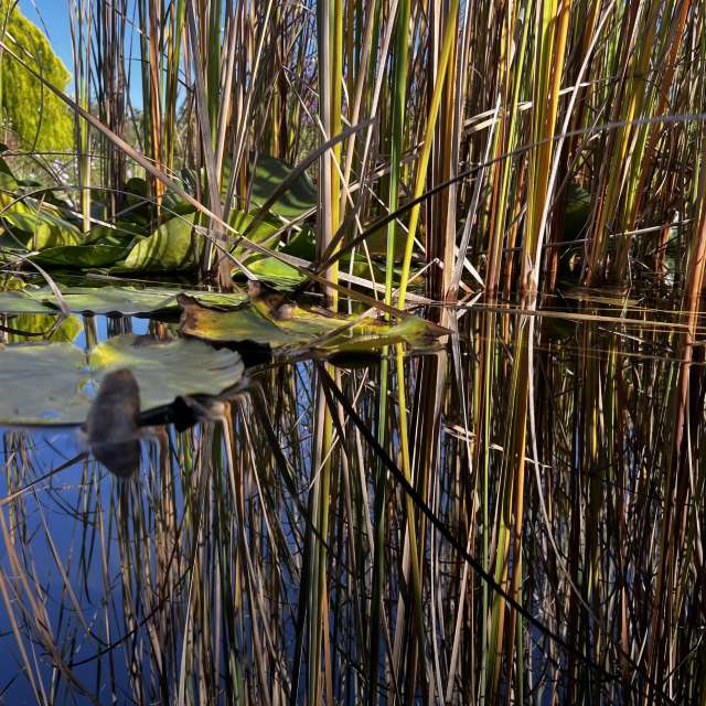 Prévisions météo avec de superbes photos de InnaMoon