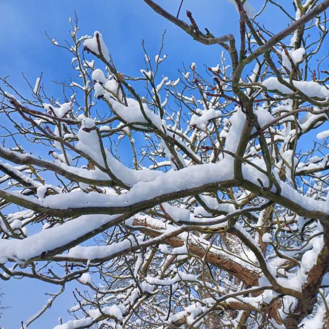 Weather forecasts with beautiful photos by Hikey