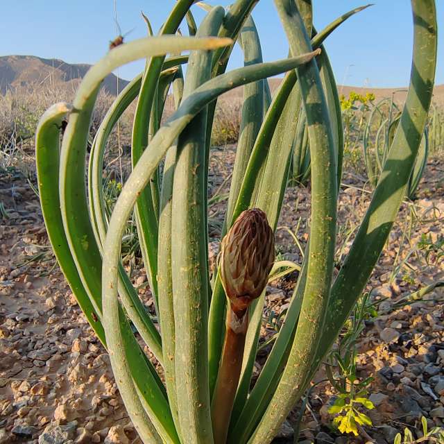 Rlz29671の美しい写真による天気予報