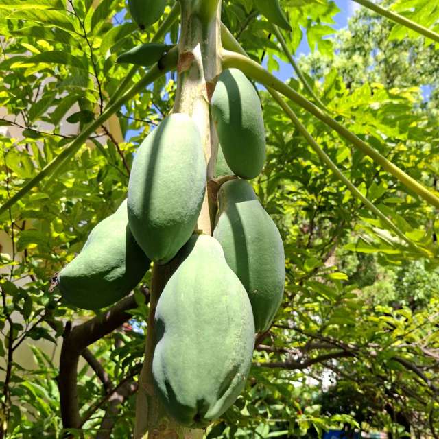 Hanging. Weather forecasts with beautiful photos by Wen-ya Huang Photos in Kaohsiung City