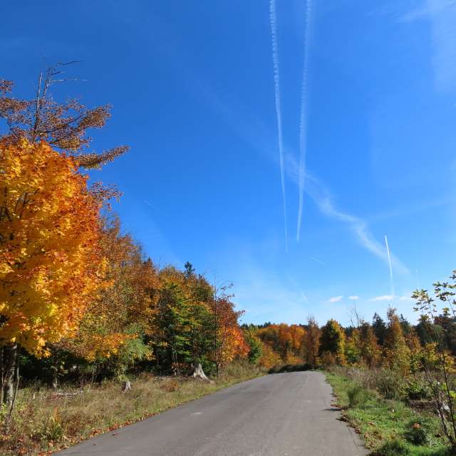 天气预报，带Sviatoslav精美的照片