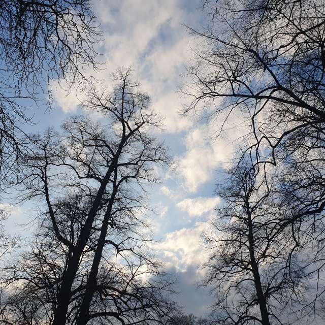 Weather forecasts with beautiful photos by Smetterling