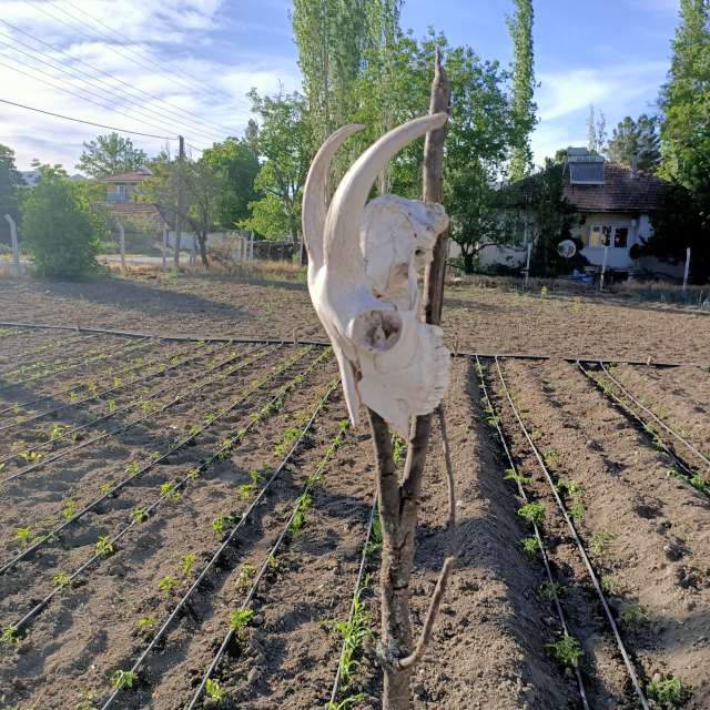 Dự báo thời tiết với những bức ảnh đẹp của Derebey