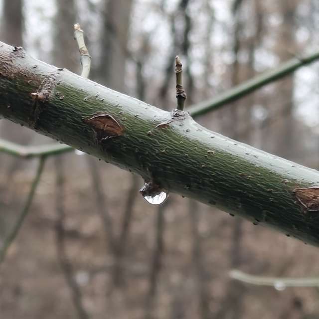 IvanaBの美しい写真による天気予報