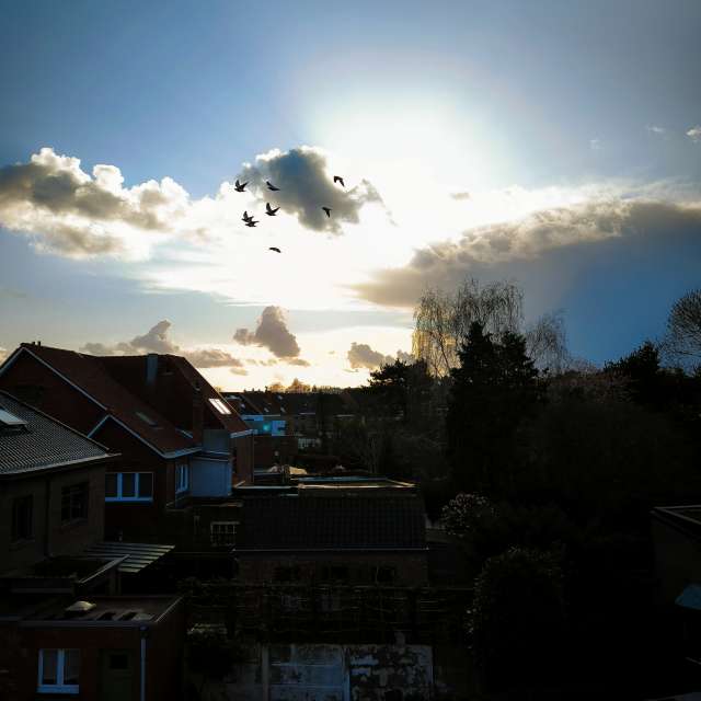 Weather forecasts with beautiful photos by agOost