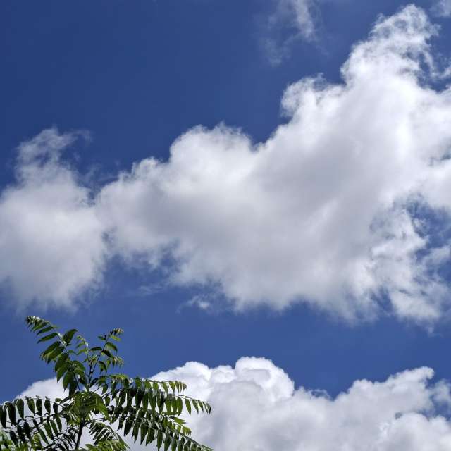 Fotos Dia. Previsões do tempo com lindas fotos de Wen-ya Huang em Kaohsiung City