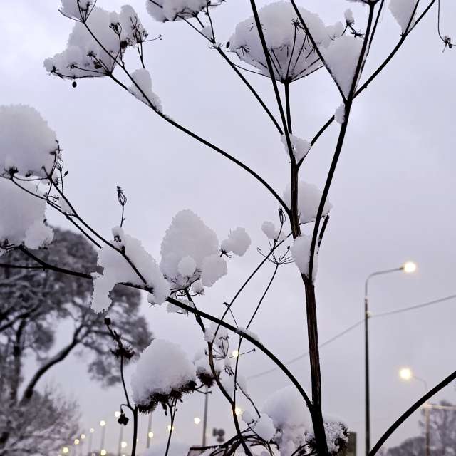 Прогнозы погоды с чудесными фотографиями, сделанными Lena_Glukhova