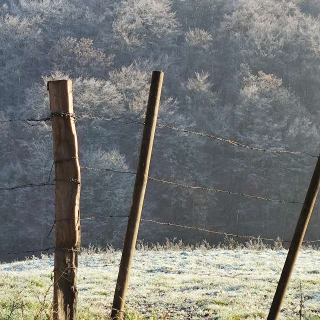 天气预报，带Brtd精美的照片