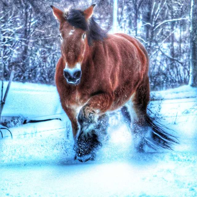 Weather forecasts with beautiful photos by Lotti5507