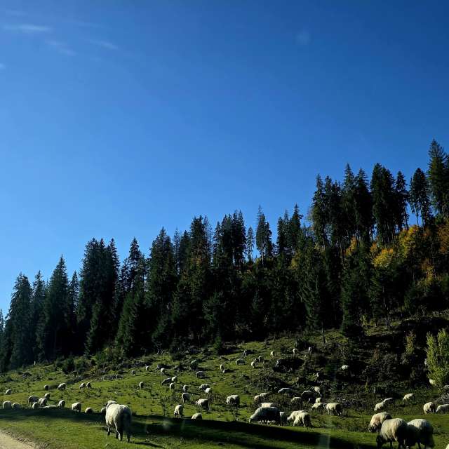 Weather forecasts with beautiful photos by Camelyon