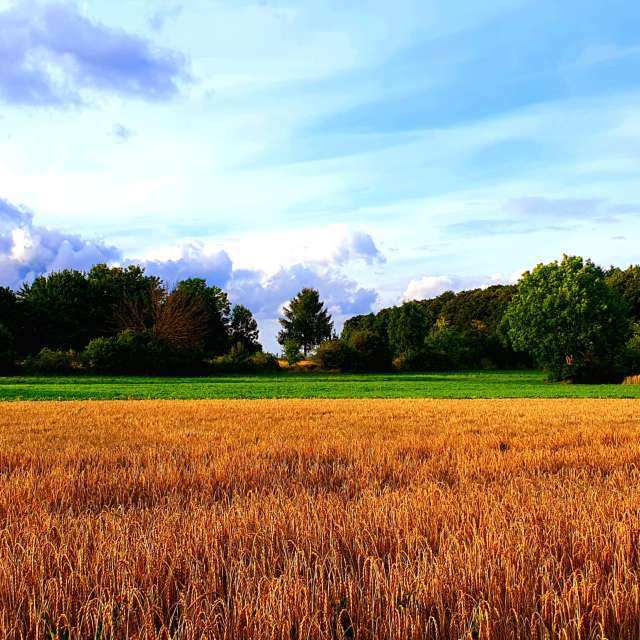 Weather forecasts with beautiful photos by Der-Bueffel