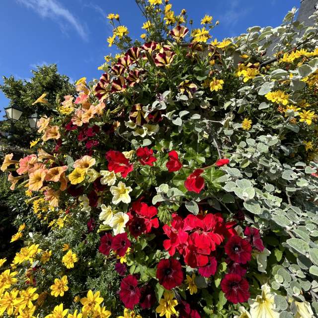 Weather forecasts with beautiful photos by grasielacf