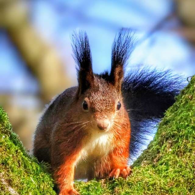 Grass. Weather forecasts with beautiful photos by Lotti5507 Photos in Wellinghofen
