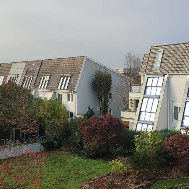 Path. Weather forecasts with beautiful photos by Tercis Photos in Ettlingen