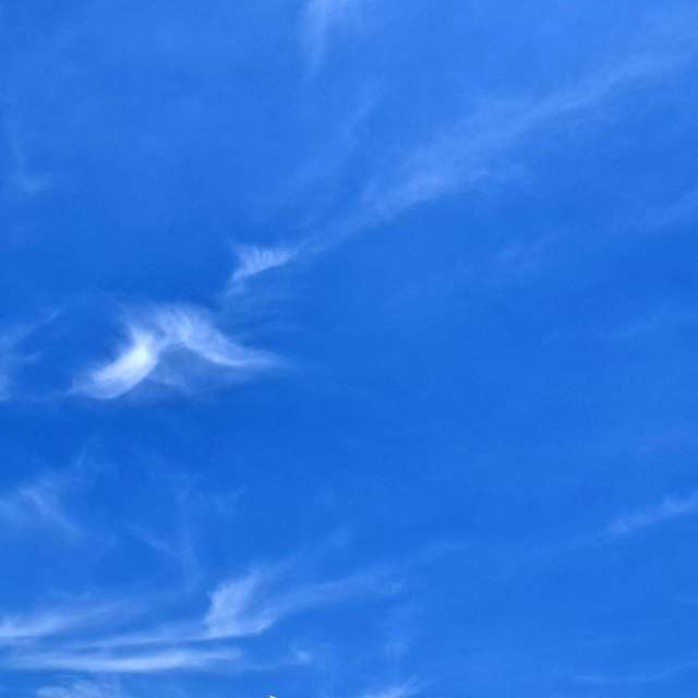 Photos Cerf-volant. Prévisions météo avec de superbes photos de Wen-ya Huang de Kaohsiung