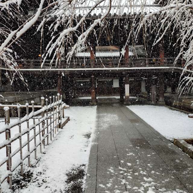 Прогнозы погоды с чудесными фотографиями, сделанными kon__miyuki