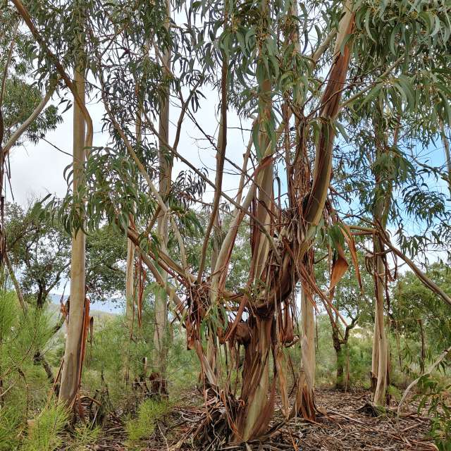 Weather forecasts with beautiful photos by Pcm407