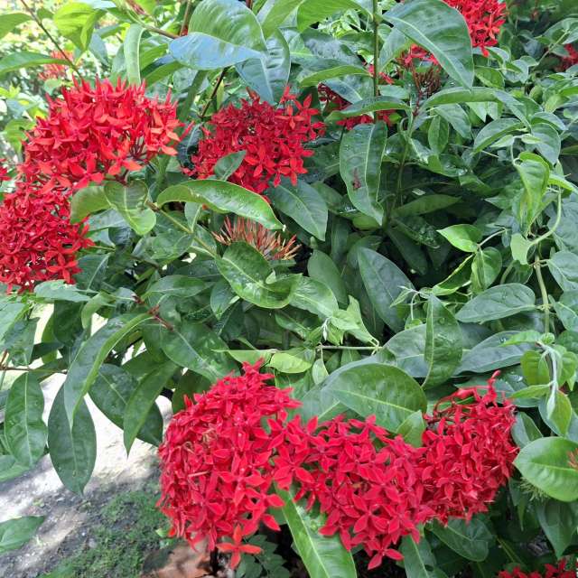 Many. Weather forecasts with beautiful photos by Wen-ya Huang Photos in Kaohsiung City