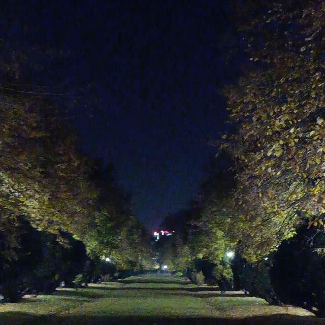 Fotos del Lado. Pronósticos del tiempo con hermosas fotos de YanBog en București