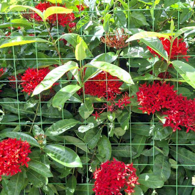 Many. Weather forecasts with beautiful photos by Wen-ya Huang Photos in Kaohsiung City