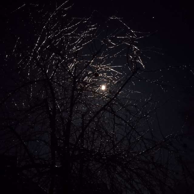 Weather forecasts with beautiful photos by mikhai