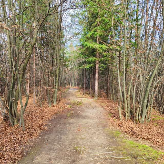 Kleka92の美しい写真による天気予報