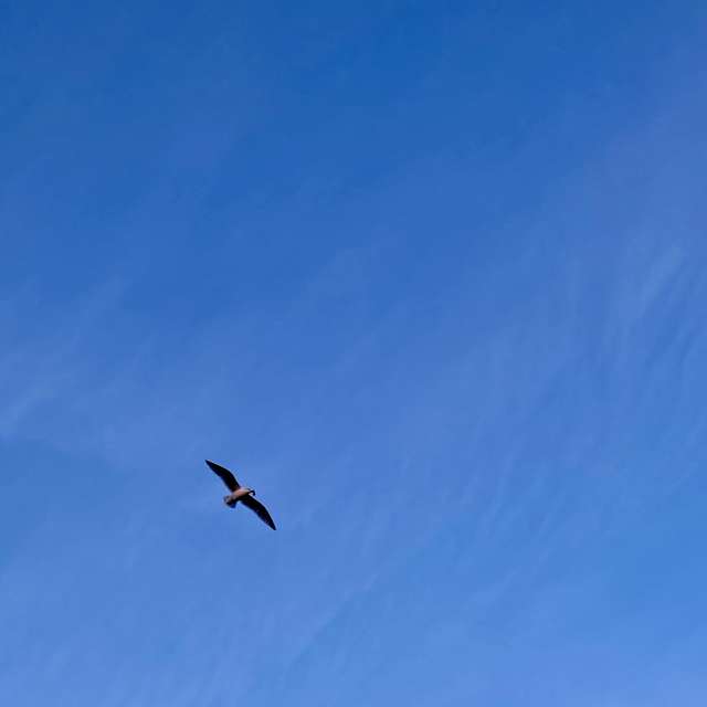 Fotos del Nublado. Pronósticos del tiempo con hermosas fotos de prairiesands en Cape Cod