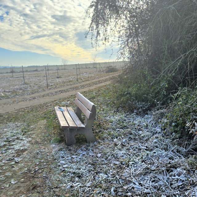 Wettervorhersagen mit schönen Fotos von Hela